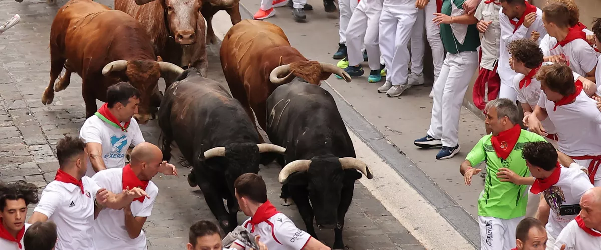 PAMPLONA, 10/07/2026.- Los toros de la ganadería Alvaro Núñez a su paso por la cuesta de Santo Domingo durante el cuarto encierro de los Sanfermines 2026 este viernes en Pamplona. EFE/J.P. Urdiroz
