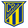 The shield of the Bidasoa-Irun handball team.