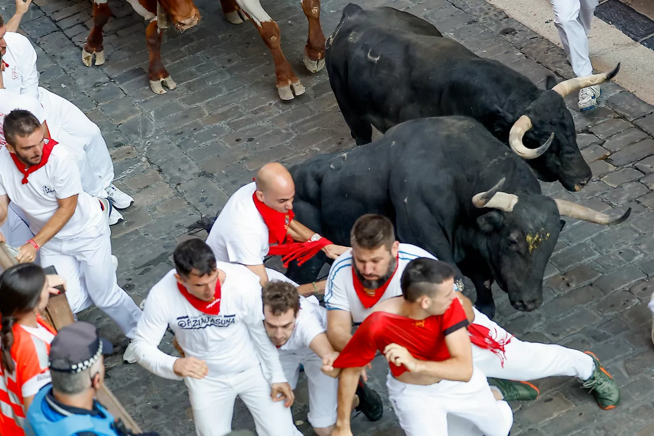 último encierro sanfermines Jandilla