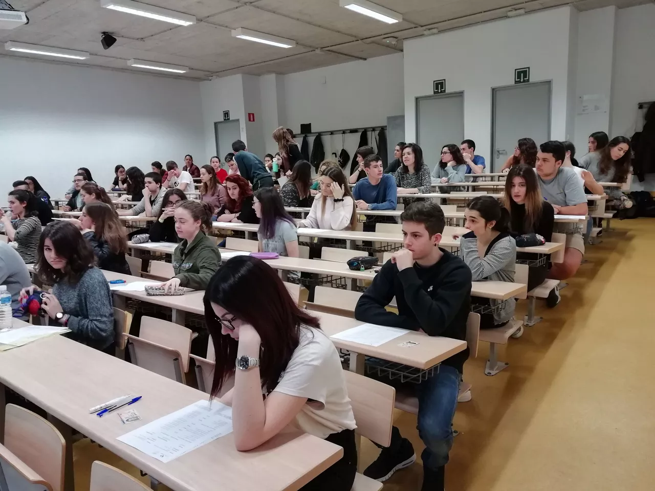 selektibitatea Gipuzkoa ikasleak unibertsitatea selectividad universidad alumnos