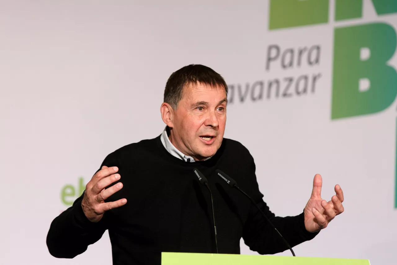 ARNALDO OTEGI EH BILDU EFE
