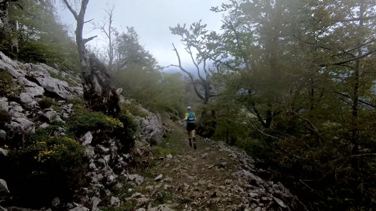 20190527161836_mendierronka_