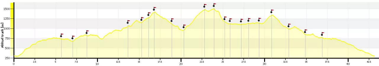 2019ko Zugama-Aizkorri  lasterketaren profil ofiziala