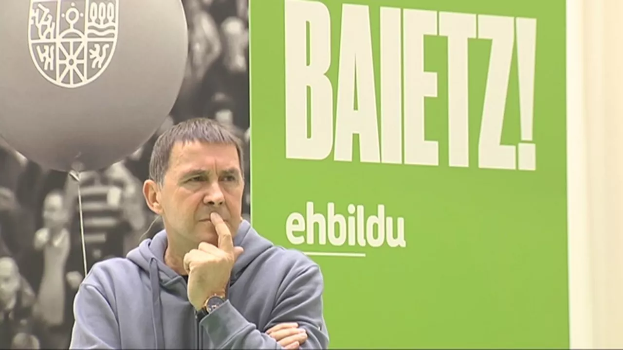 20191106141850_eh-bildu-universidad-publica-navarra-otegi_