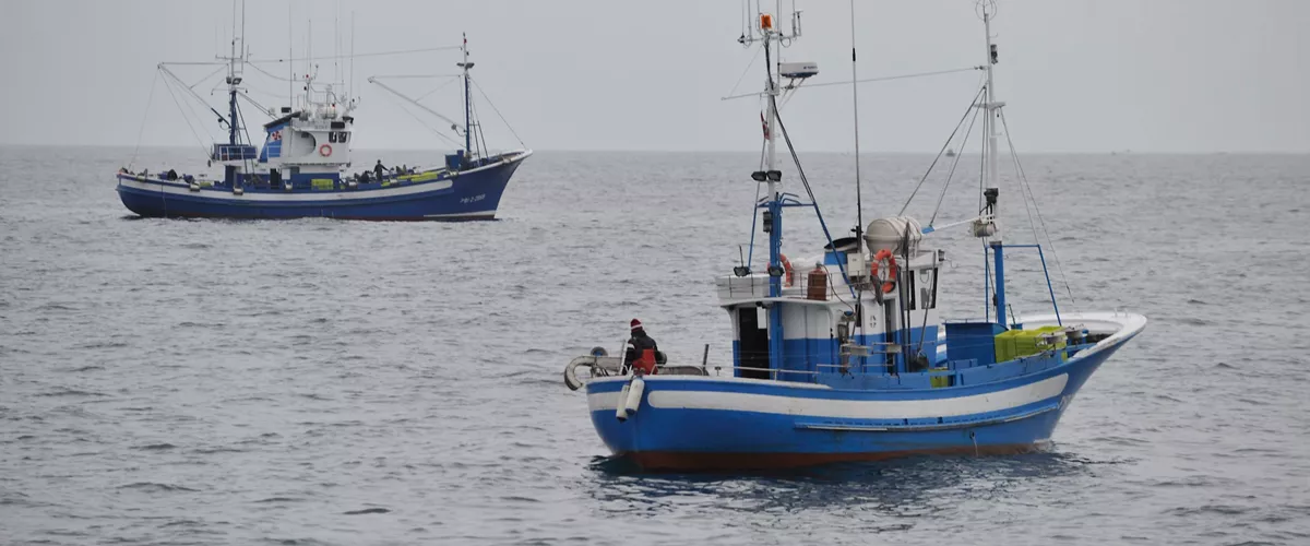 pesca arrantza verdel iturria: CC BY-3.0-ES 2012/EJ-GV/Irekia-Eusko Jaurlaritza/Mikel Arrazola