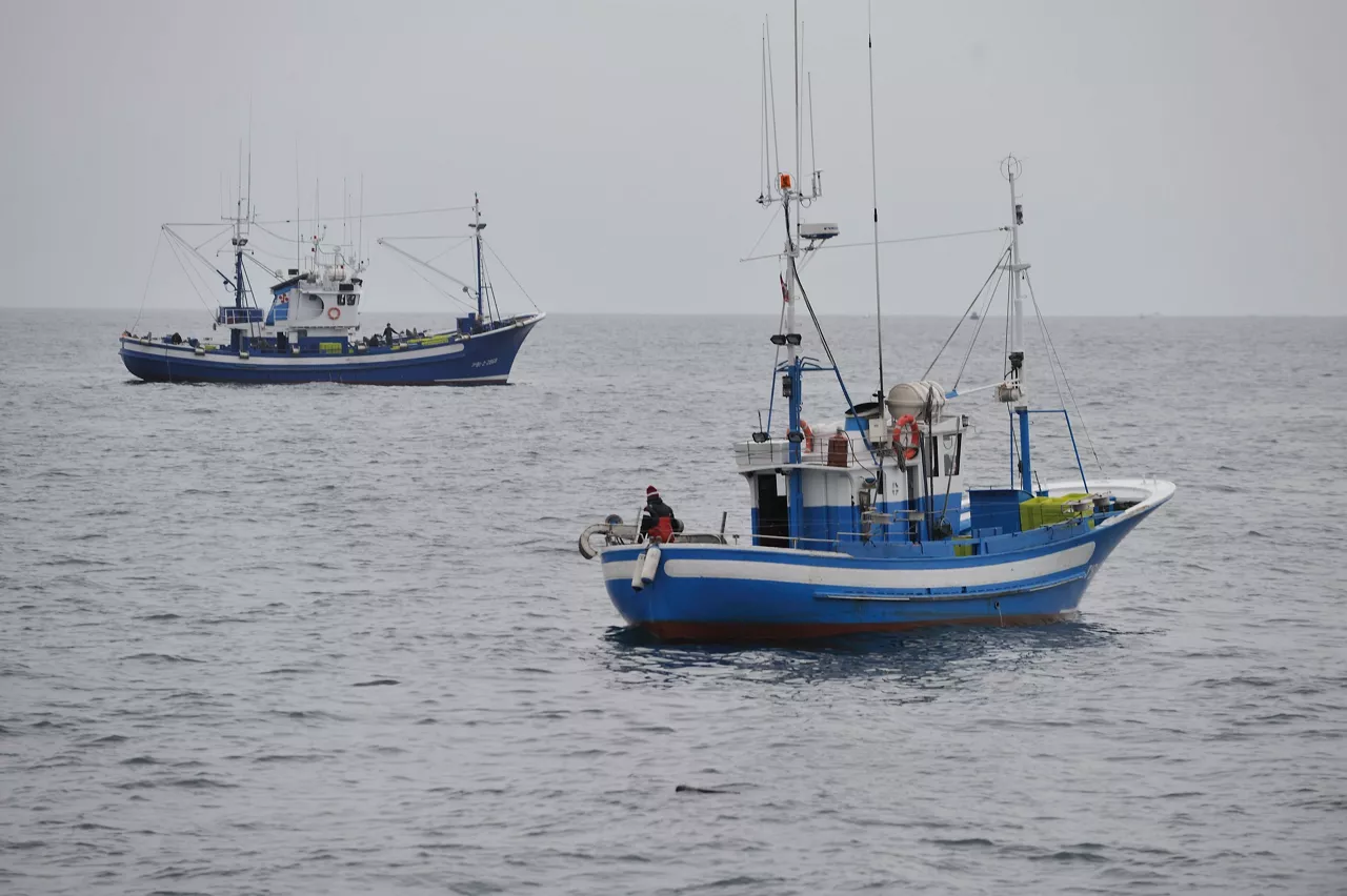 pesca arrantza verdel iturria: CC BY-3.0-ES 2012/EJ-GV/Irekia-Eusko Jaurlaritza/Mikel Arrazola