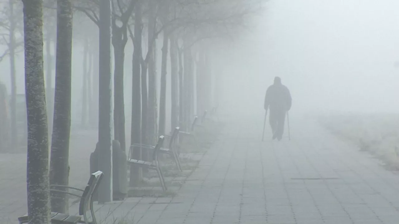 20220123175633_frio-en-vitoria-gasteiz_