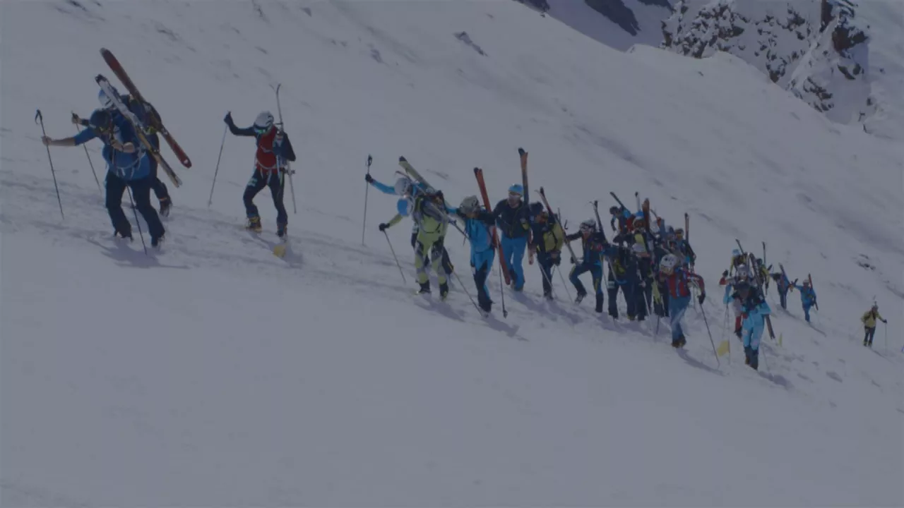 20220321212502_ltitoy-ternua_