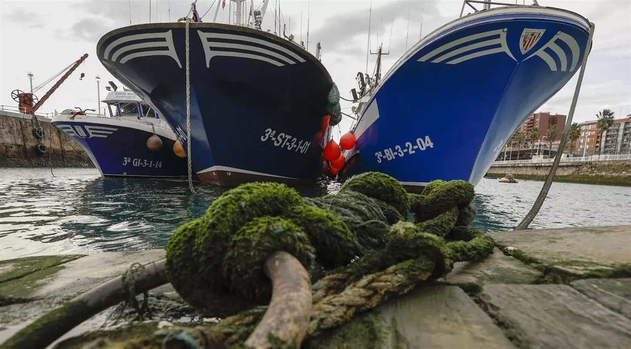 arrantzaleak-portuetan-santurtzi- arrantza pesca amarrados efe