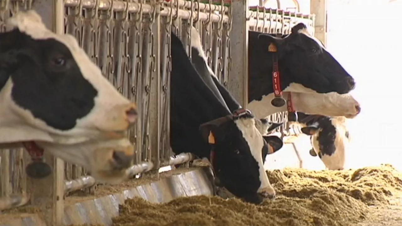 20221005142750_vacas-behia_