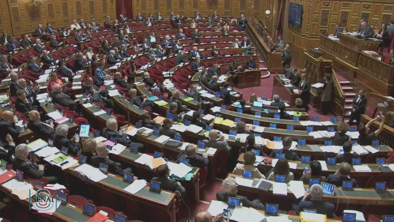 20230309090317_senado-francia_