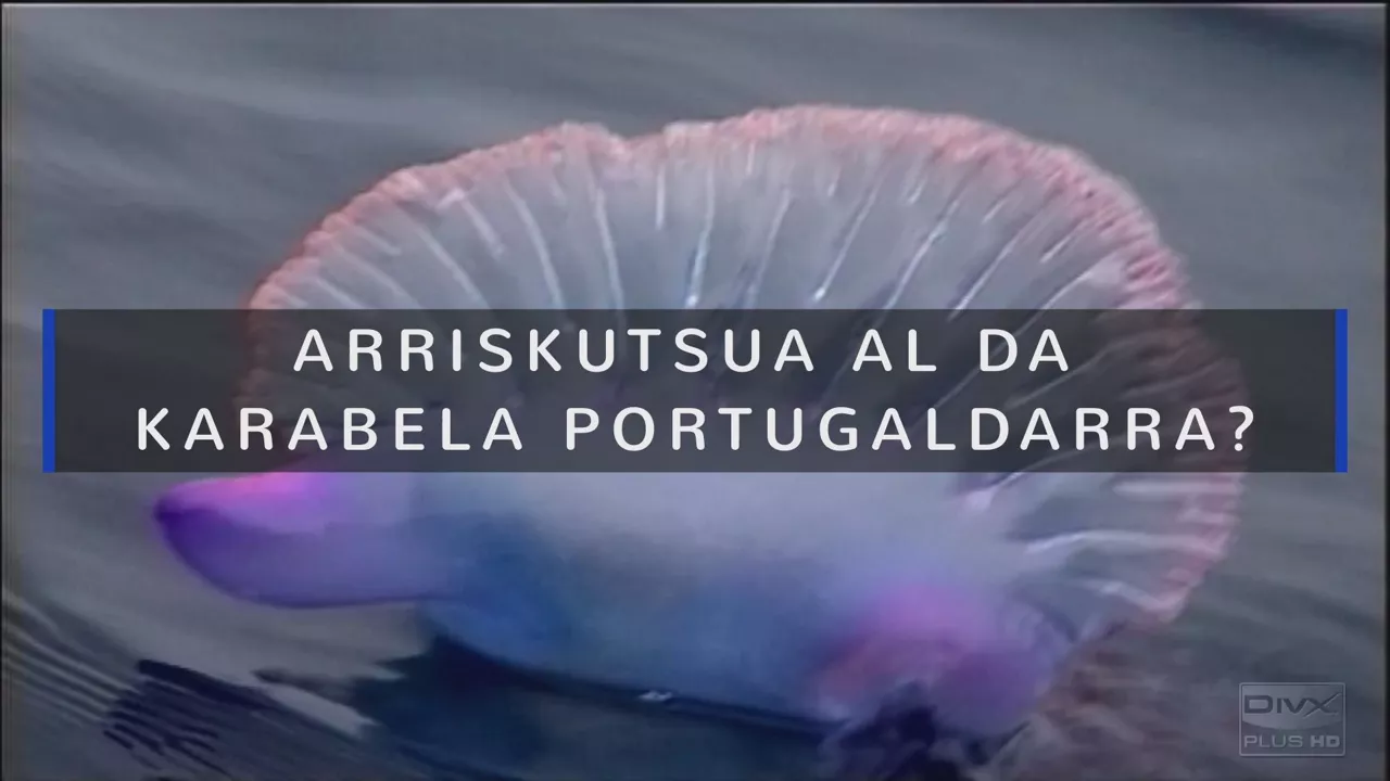 20230711160441_arriskutsua-al-da-karabela-portugaldarra_