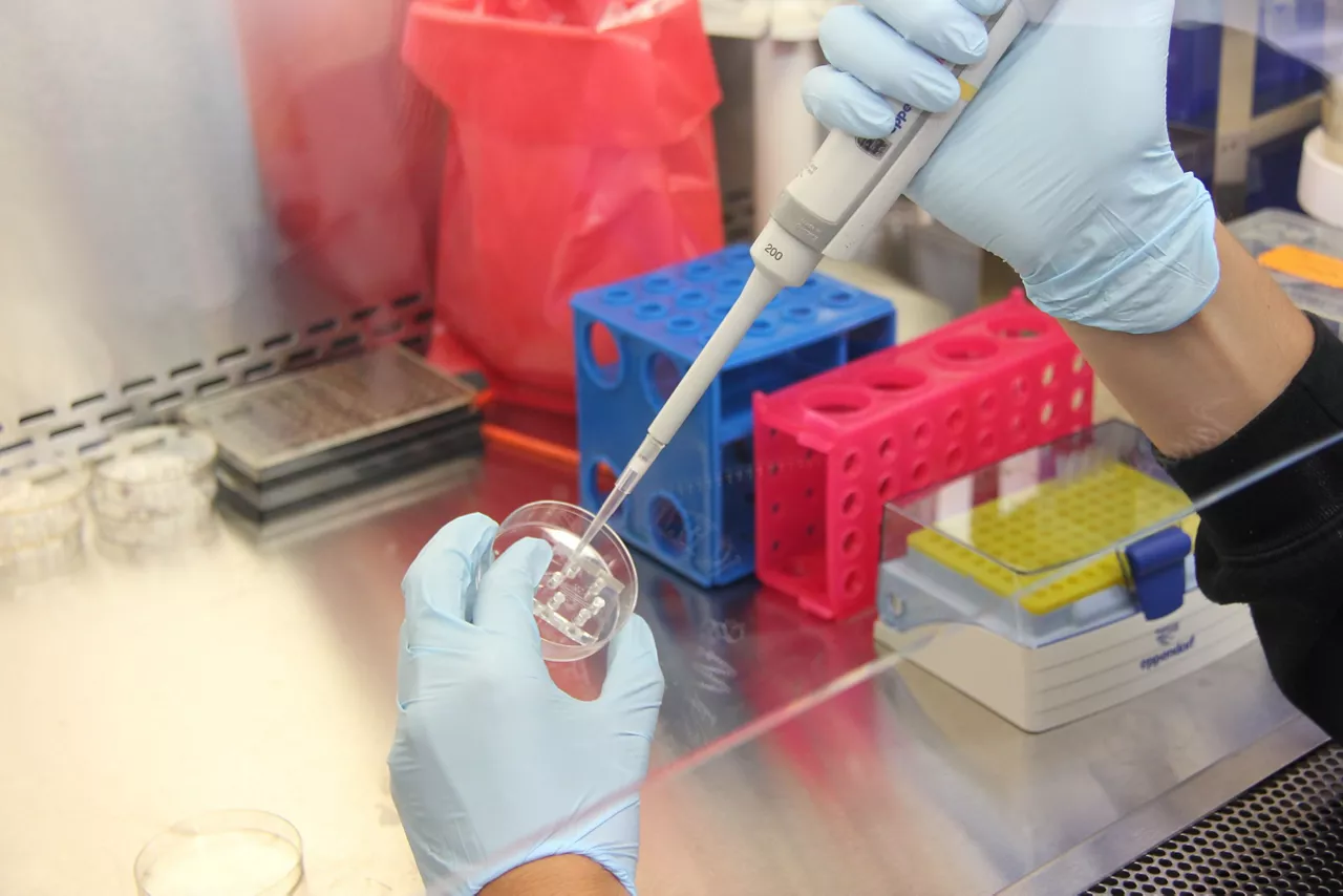 laboratorio-laborategia-pxhere