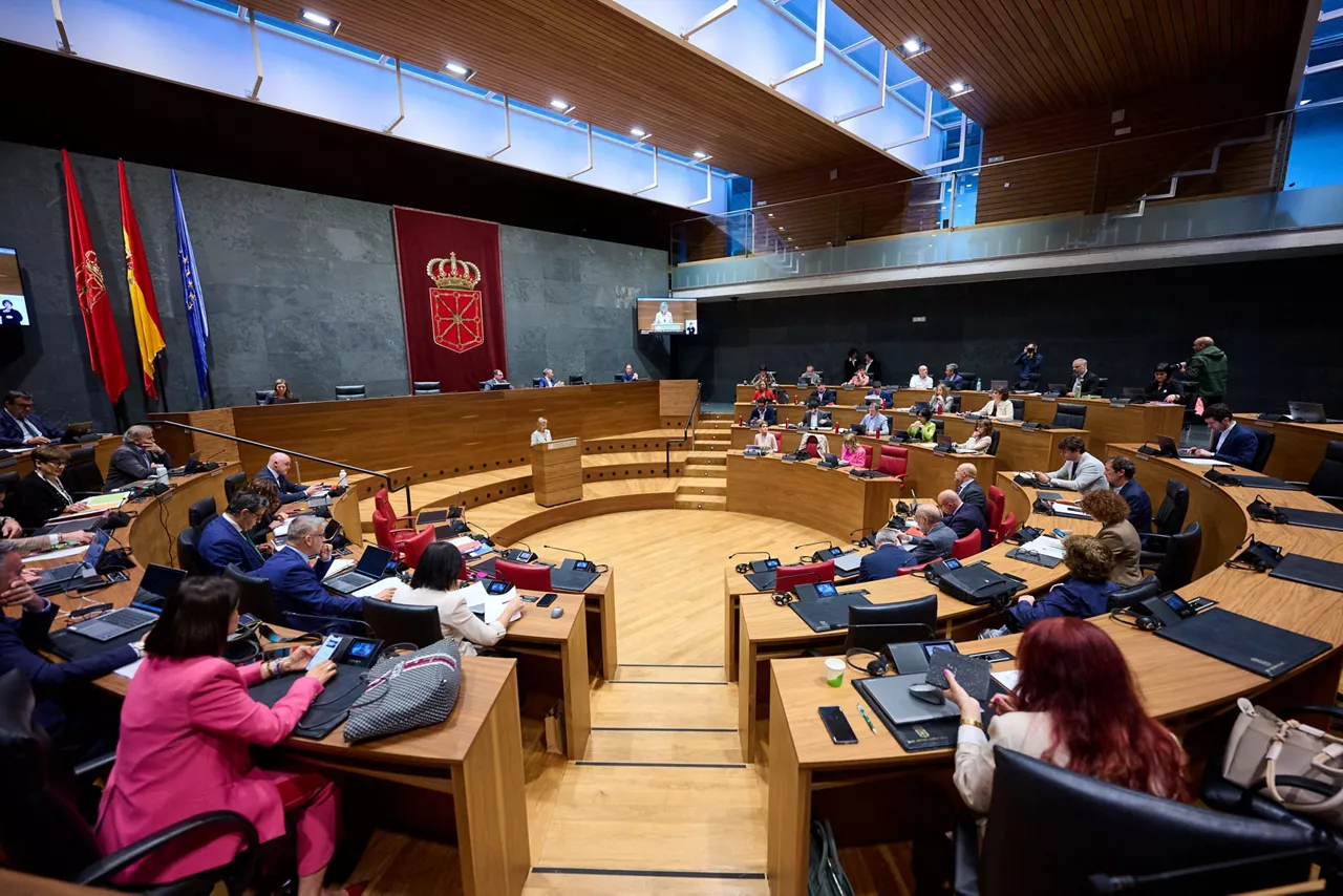PARLAMENTO DE NAVARRA NAFARROAKO PARLAMENTUA