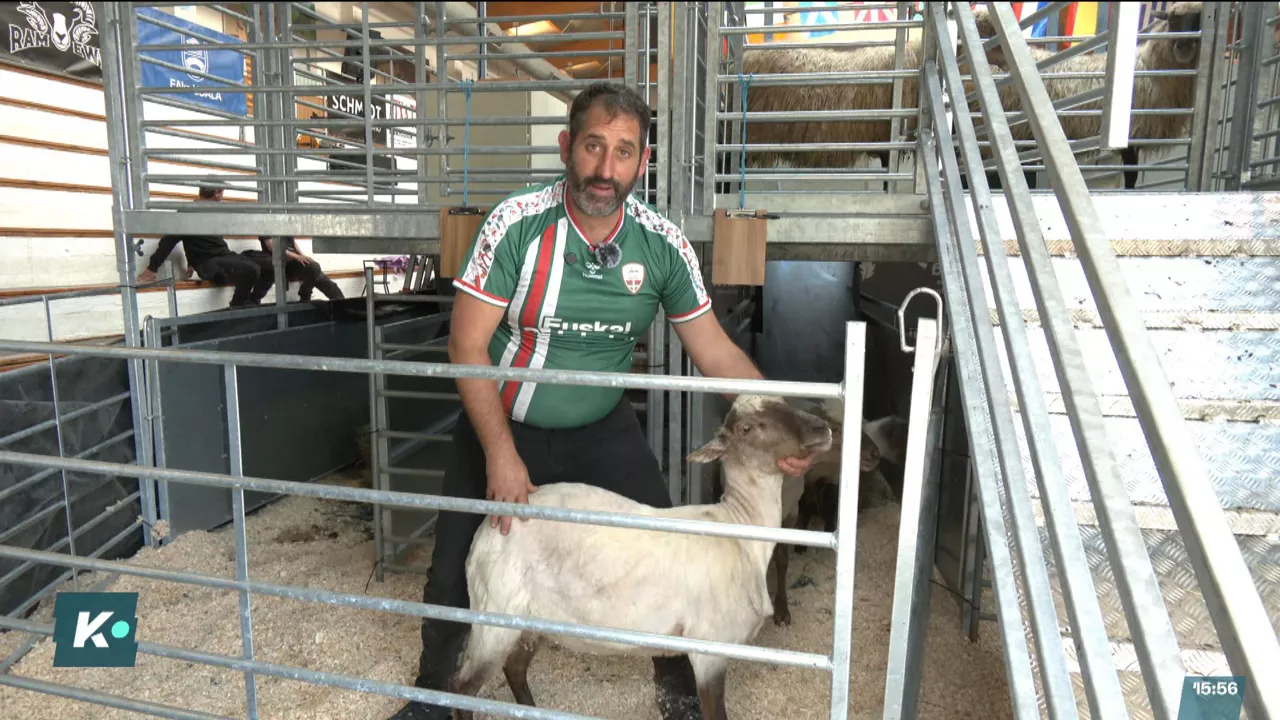 20250927163407_campeonato-esquiladores-jueces_