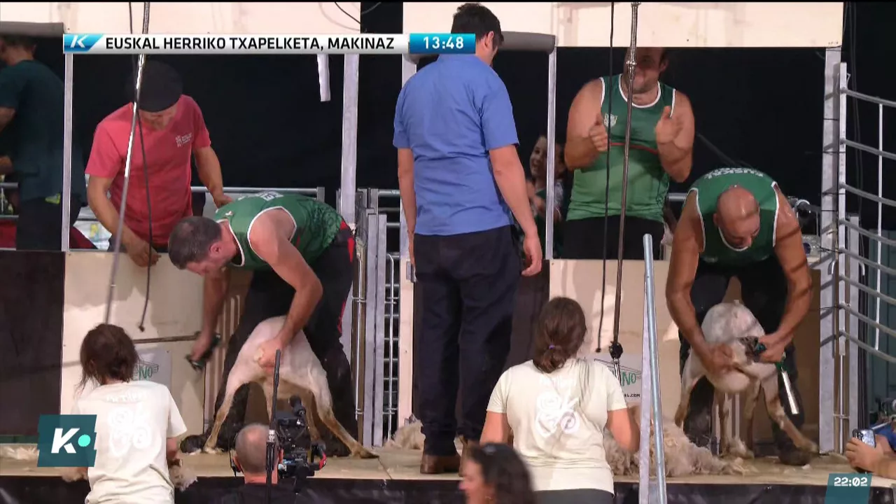 20250927221724_ugalde-eta-etxebarria-ardi-moztaileak_