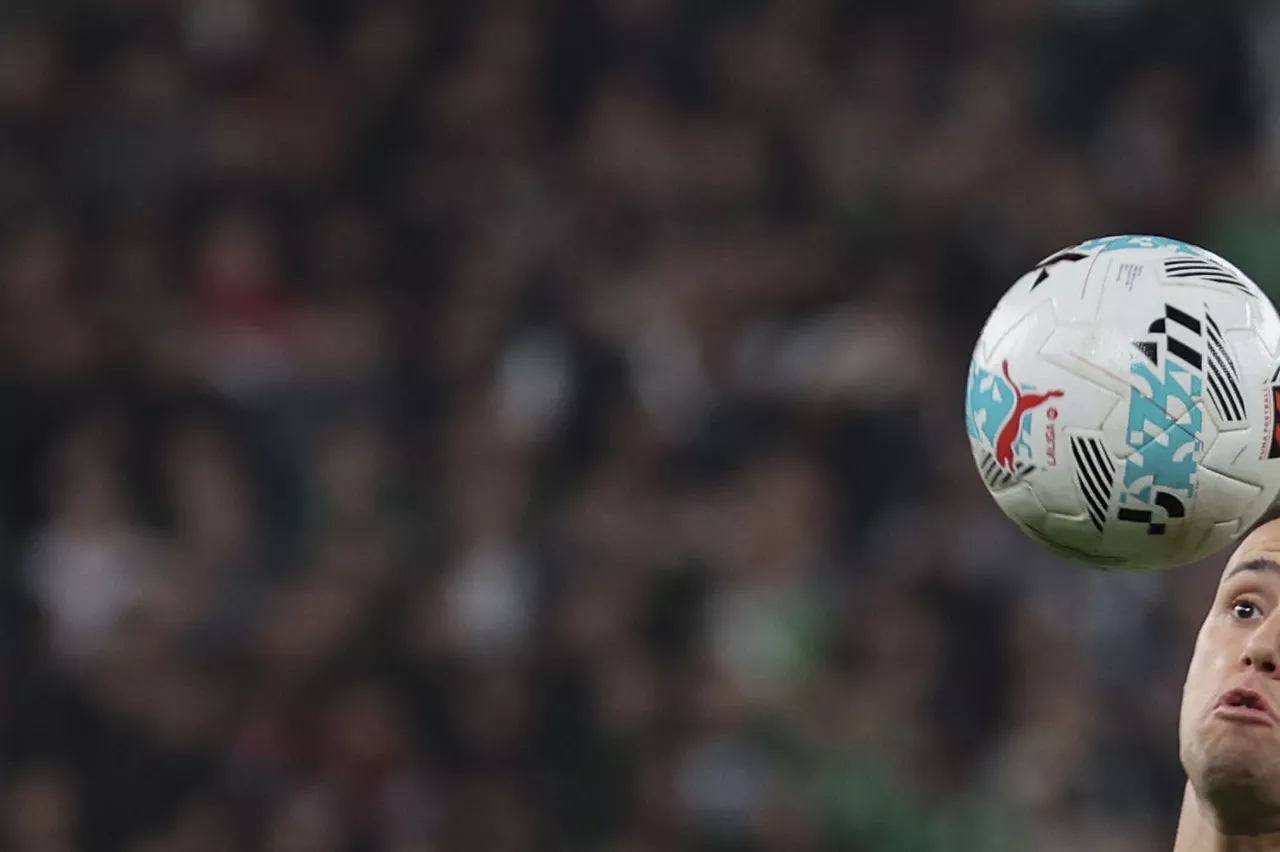 Euskal Selekzioa VS. Palestina