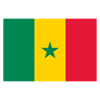 Senegalgo futbol selekzioaren bandera
