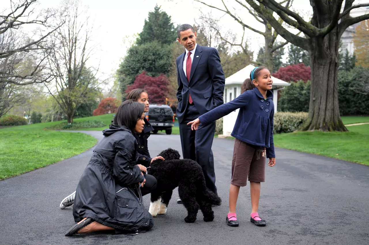 "<img style=""float:left;margin:5px;"" src=""http://10.126.2.21/media/images/2012/05/31/664599/664599_obama_perro_thumbnail.jpg""/><br/><strong>obama perro familia</strong>"