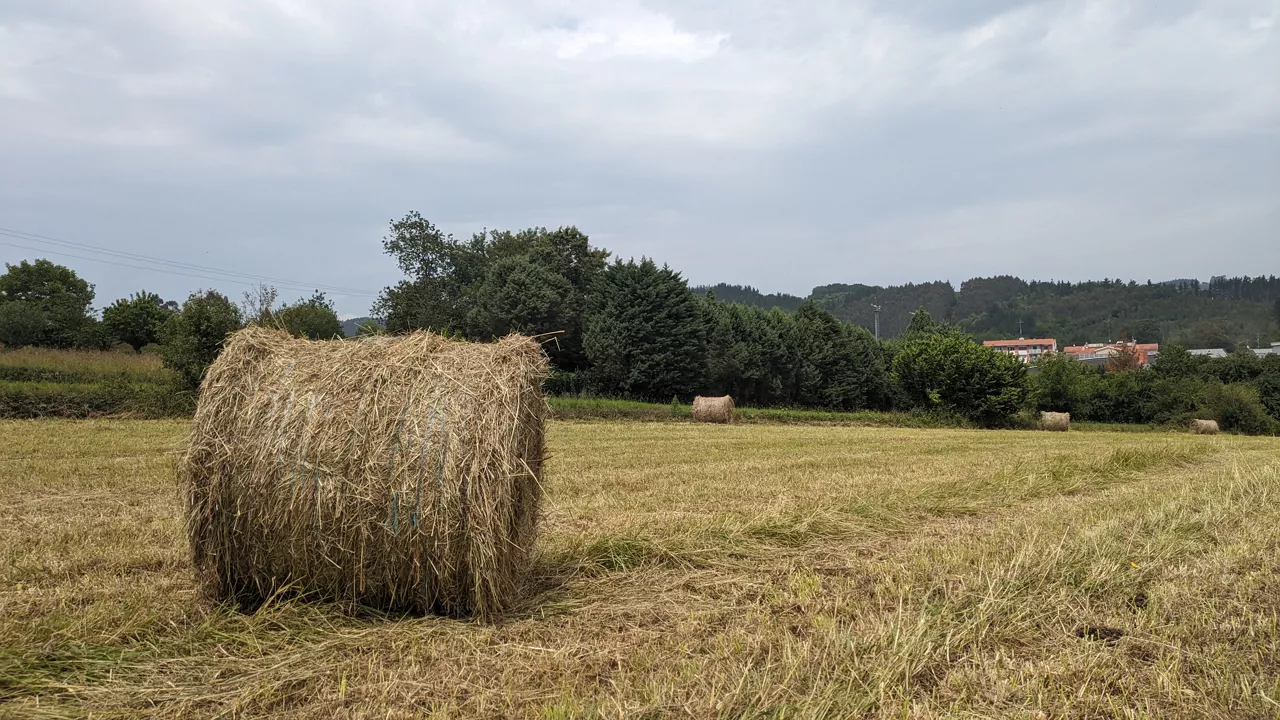 Fardo de hierba seca en Larrabetzu / lasto-fardo