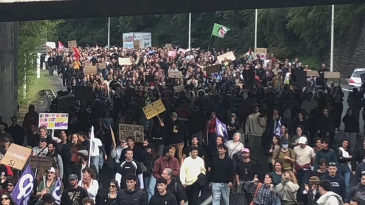 Baiona-manifestariak-ona