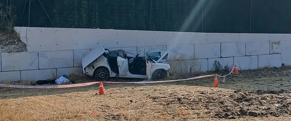 Dos hombres de 38 y 23 años han muerto y otro de 24 ha resultado herido muy grave tras salirse de la vía el vehículo en el que viajaban en Beriáin.
