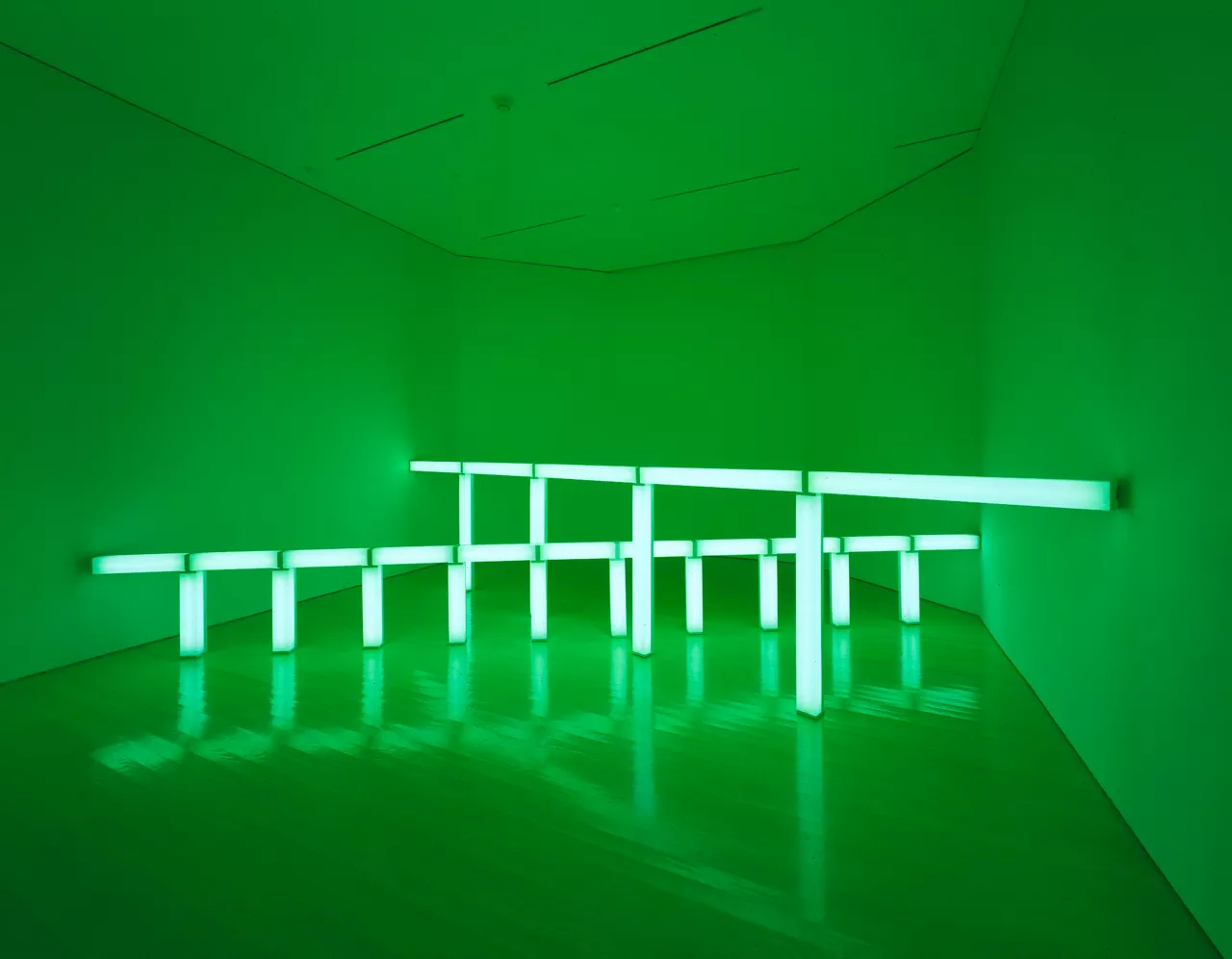 Dan Flavin "berdeetan zehar berdeak" "verdes cruzando verdes"
Guggenheim Bilbao Museoa