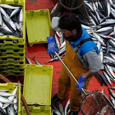 (Foto de ARCHIVO)

Descargas de verdel en puertos vascos



REMITIDA / HANDOUT por GOBIERNO VASCO

Fotografía remitida a medios de comunicación exclusivamente para ilustrar la noticia a la que hace referencia la imagen, y citando la procedencia de la imagen en la firma

25/3/2021