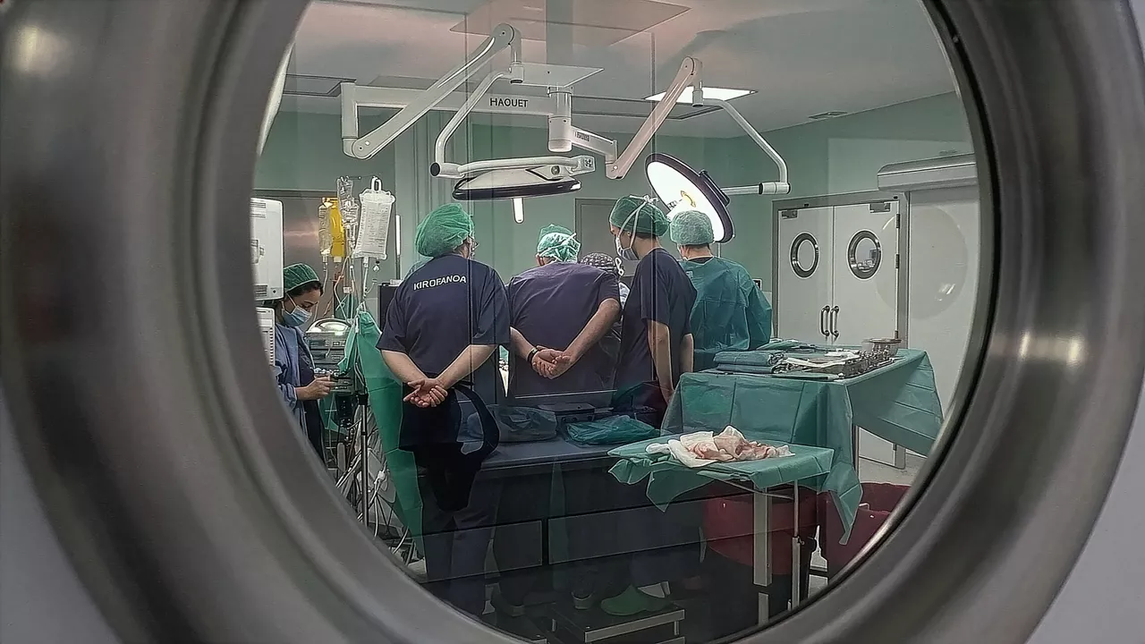 (Foto de ARCHIVO)

Cirugía hepática en el hospital de Cruces



REMITIDA / HANDOUT por OSAKIDETZA

Fotografía remitida a medios de comunicación exclusivamente para ilustrar la noticia a la que hace referencia la imagen, y citando la procedencia de la imagen en la firma

26/2/2026