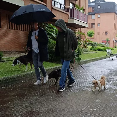 (Foto de ARCHIVO)

Paseantes bajo la lluvia en Getxo (Bizkaia)



EUROPA PRESS

13/5/2026