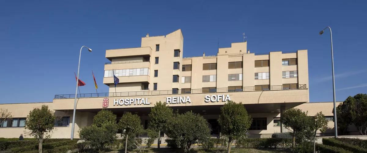 hospital reina sofia tudela tutera ospitala
