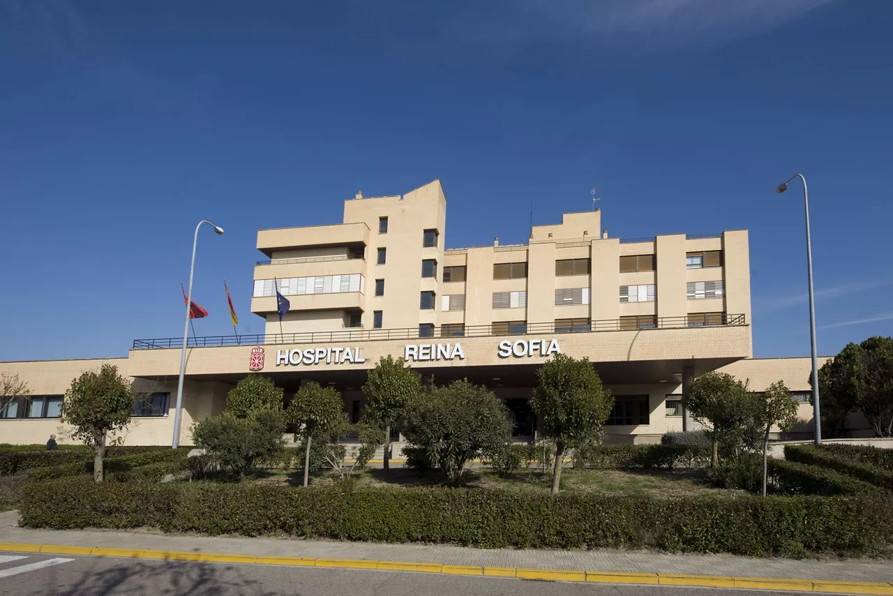 hospital reina sofia tudela tutera ospitala