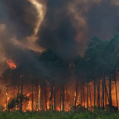 Llamas descontroladas en el departamento de Gironda



REMITIDA / HANDOUT por SERVICIO DE BOMBEROS DE LA PREFECTURA DE GIRONDA

Fotografía remitida a medios de comunicación exclusivamente para ilustrar la noticia a la que hace referencia la imagen, y citando la procedencia de la imagen en la firma

26/7/2026