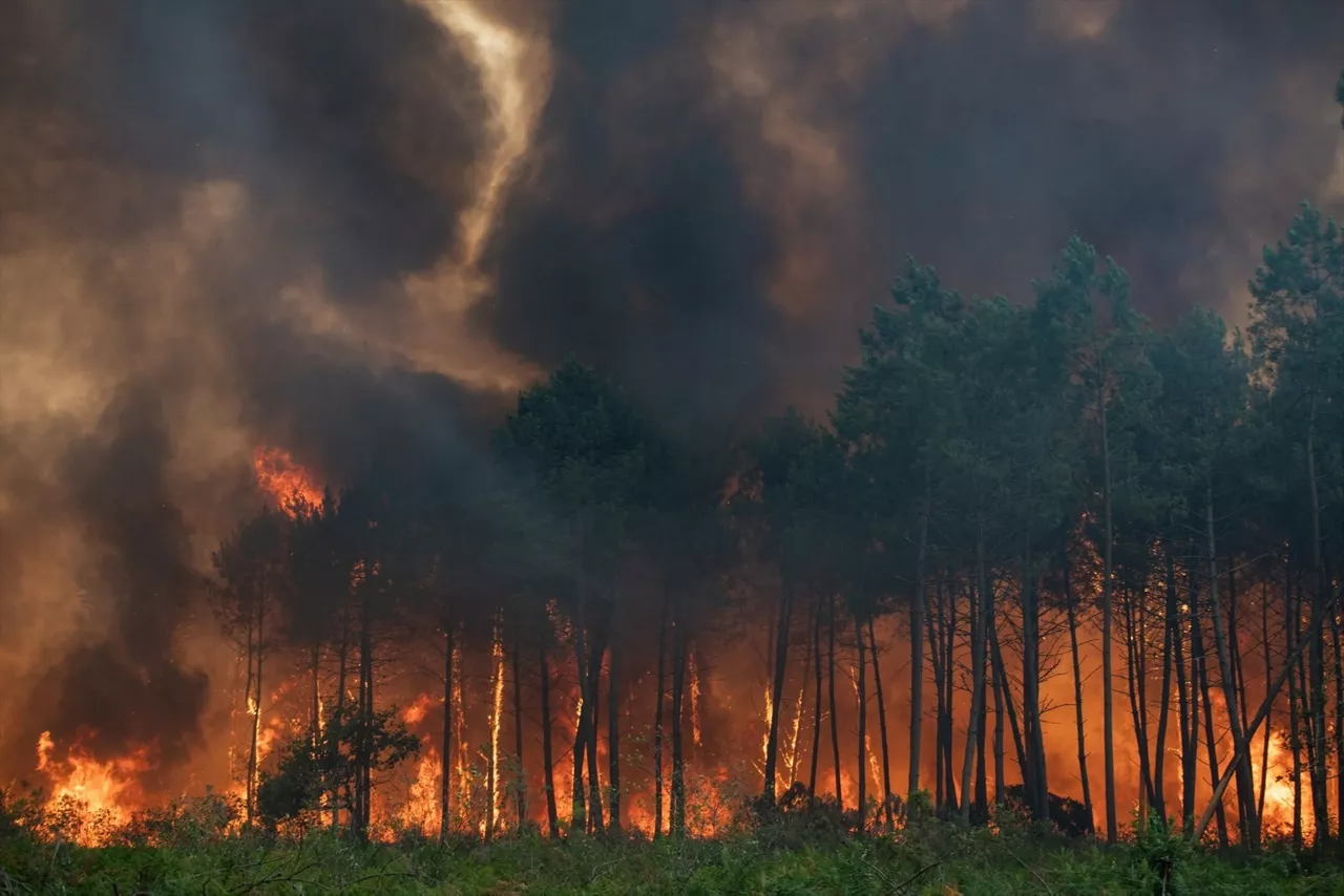 Llamas descontroladas en el departamento de Gironda



REMITIDA / HANDOUT por SERVICIO DE BOMBEROS DE LA PREFECTURA DE GIRONDA

Fotografía remitida a medios de comunicación exclusivamente para ilustrar la noticia a la que hace referencia la imagen, y citando la procedencia de la imagen en la firma

26/7/2026