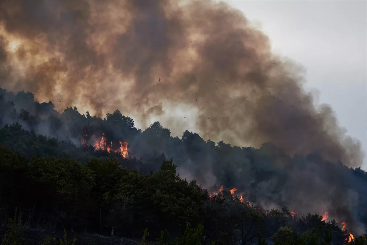 (Foto de ARCHIVO)

Vista del fuego, a 25 de junio de 2026, en Ezcabarte, Navarra (España). El Gobierno de Navarra ha activado a las 18.45 horas la situación operativa 2 del Plan Especial de Protección Civil por Incendios Forestales (INFONA) de acuerdo a los datos actuales sobre el desarrollo del incendio forestal que está teniendo lugar en las faldas del monte San Cristóbal. El aviso por el fuego se ha dado a las 17.42 horas. El incendio se ha originado en un campo situado en la falda del monte, cerca del punto kilométrico 2,4 de la carretera NA-4210, en el término de Makirriain, y se ha propagado a una zona de pinar, según ha informado el 112 Sos Navarra.



Eduardo Sanz / Europa Press

25 JUNIO 2026;FUEGO;INCENDIO;EMERGENCIA;NIVEL 2;BOMBEROS;HUMO

25/6/2026