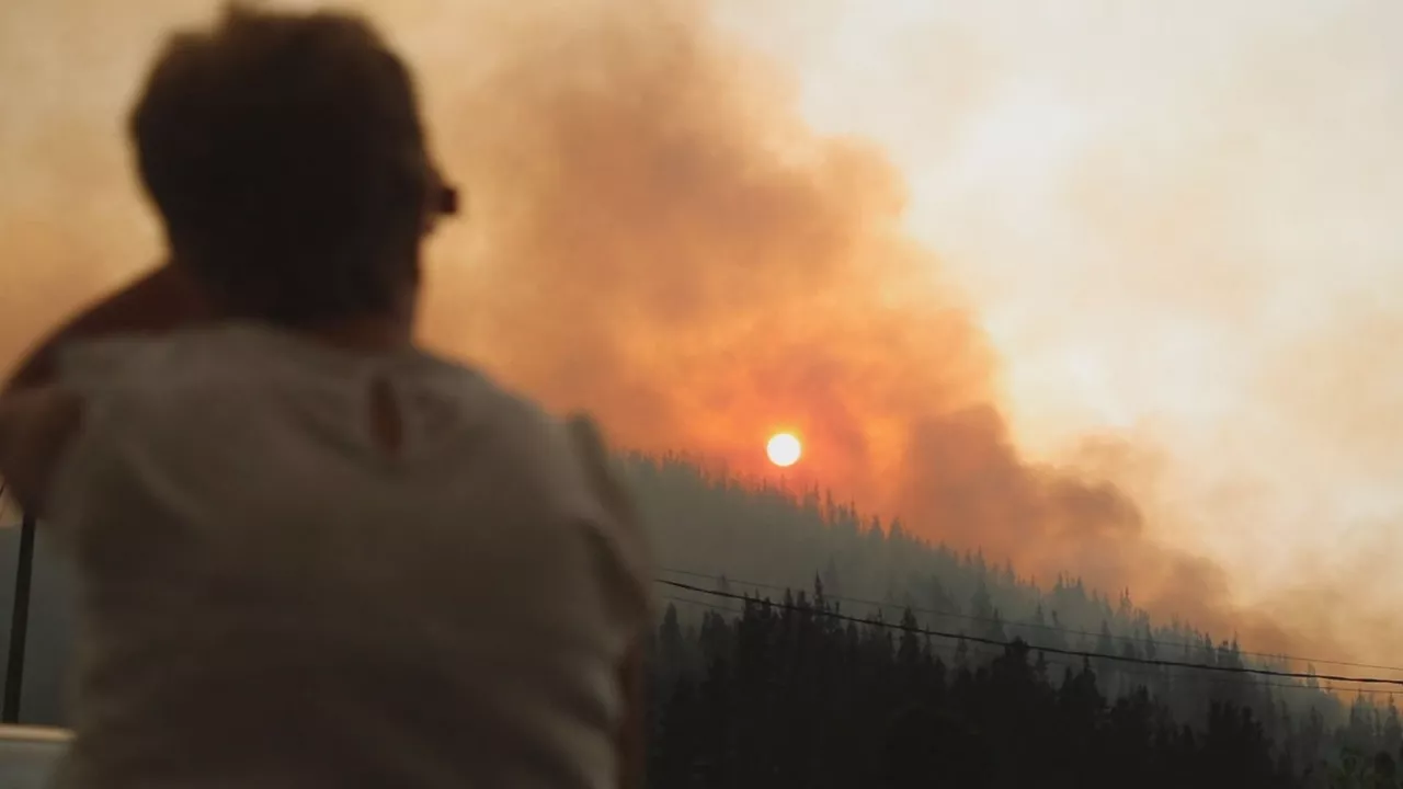 Galicia suma ya más de 95.000 hectáreas afectadas por los incendios forestales en agosto

A día de hoy, sólo quedan tres incendios activos de más de 20 hectáreas: dos en Ourense y uno en Lugo
