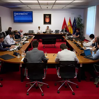 Comisión Parlamentaria Navarra
