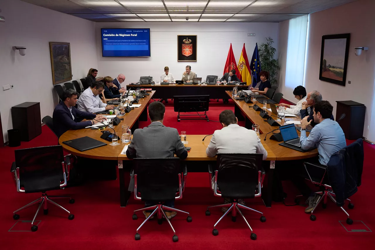 Comisión Parlamentaria Navarra