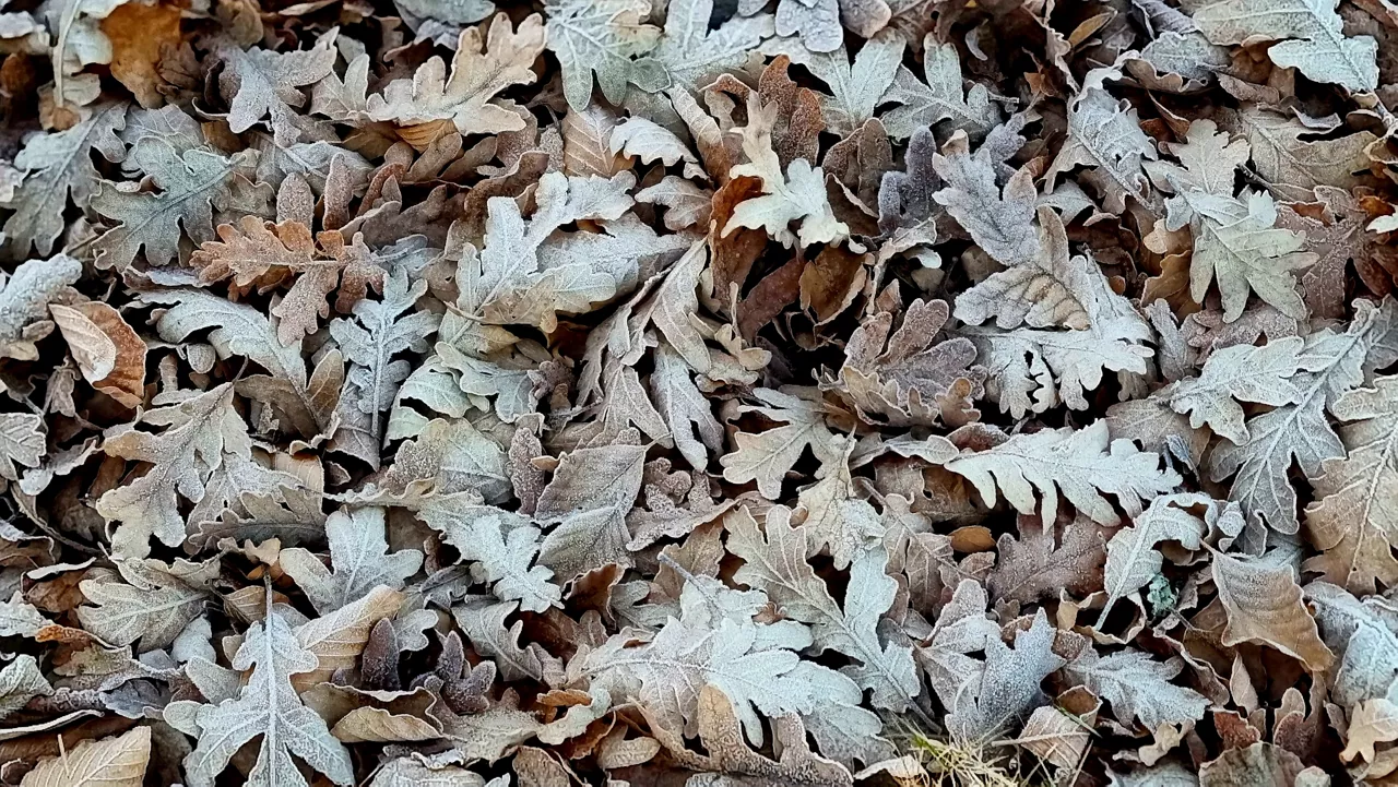 iztotza-hielo-negua-invierno