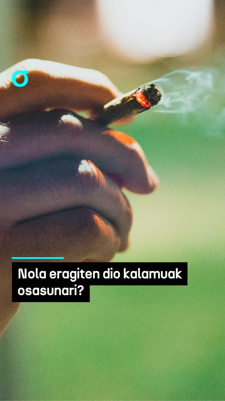 Osasuna Cannabis PORTADA - 2