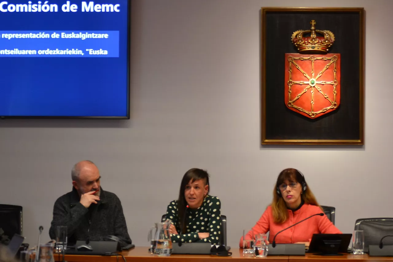 Euskalgintzaren kontseilua Nafarroako Parlamentuan. Aize Otaño hizketan.