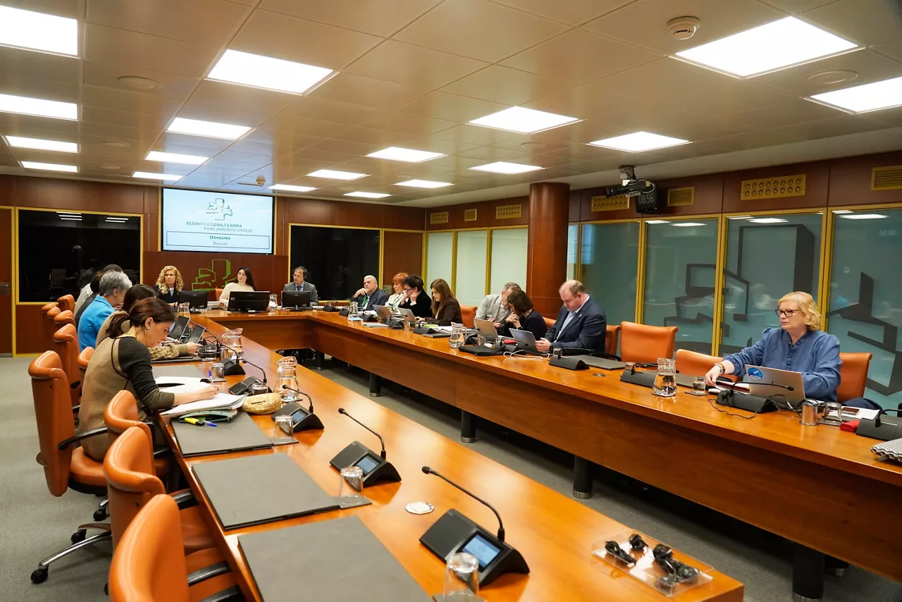 Osasun Batzordea, Legebiltzarrean. 
