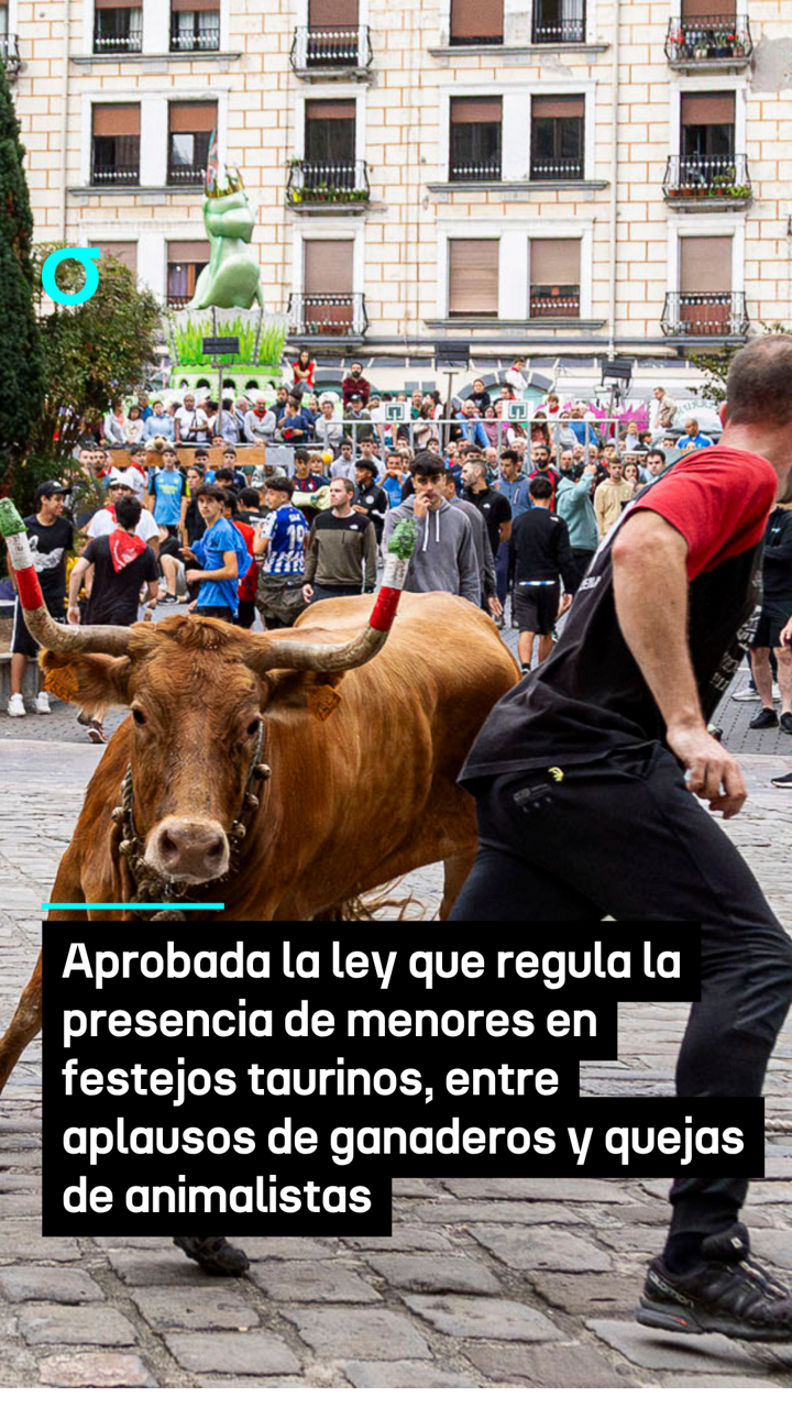video feed poster