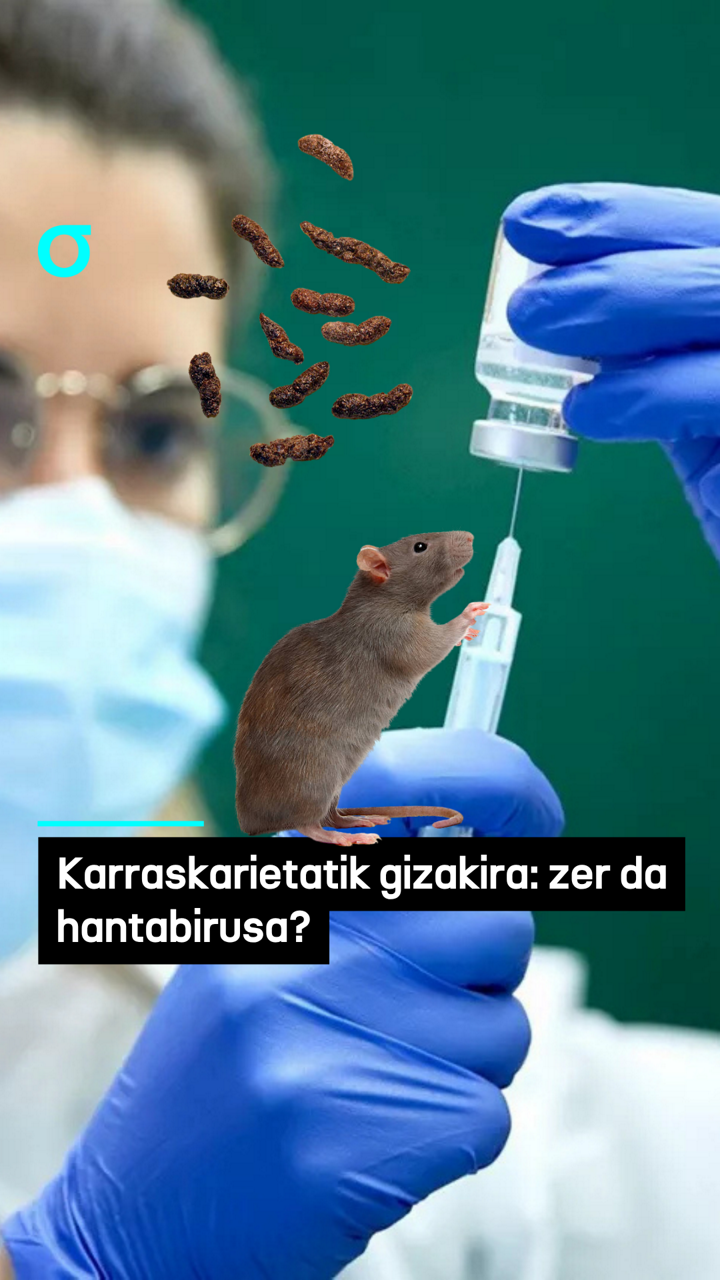 video feed poster