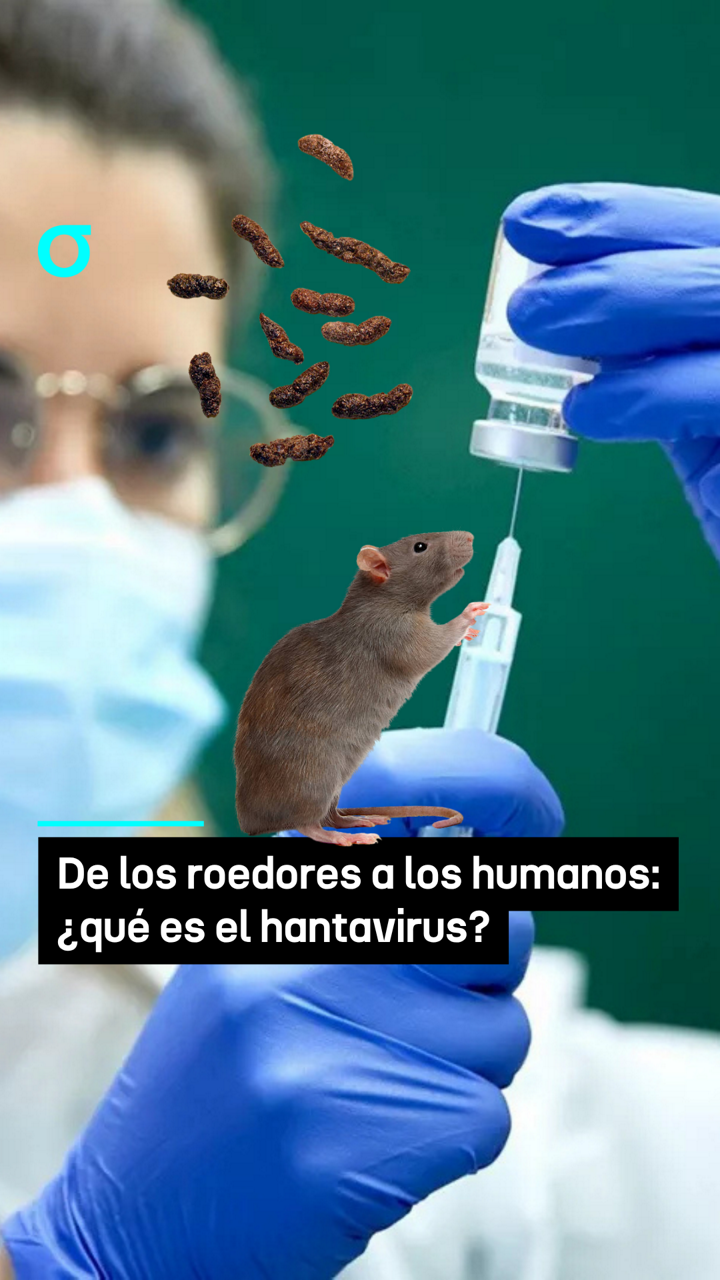 video feed poster