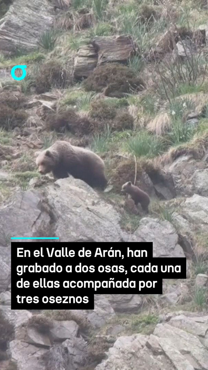video feed poster