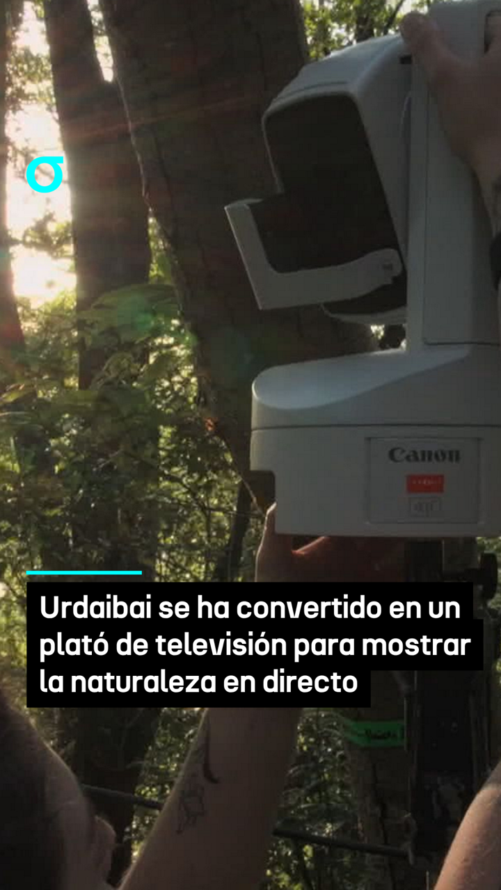 video feed poster