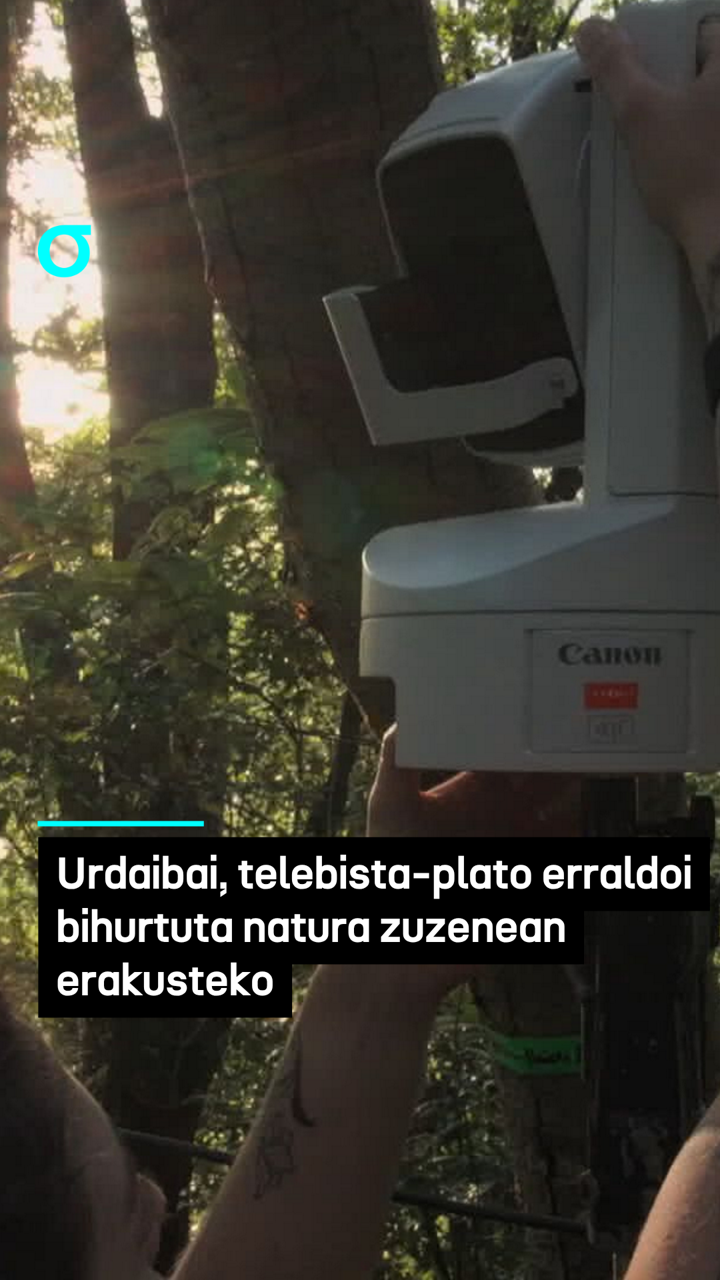 video feed poster