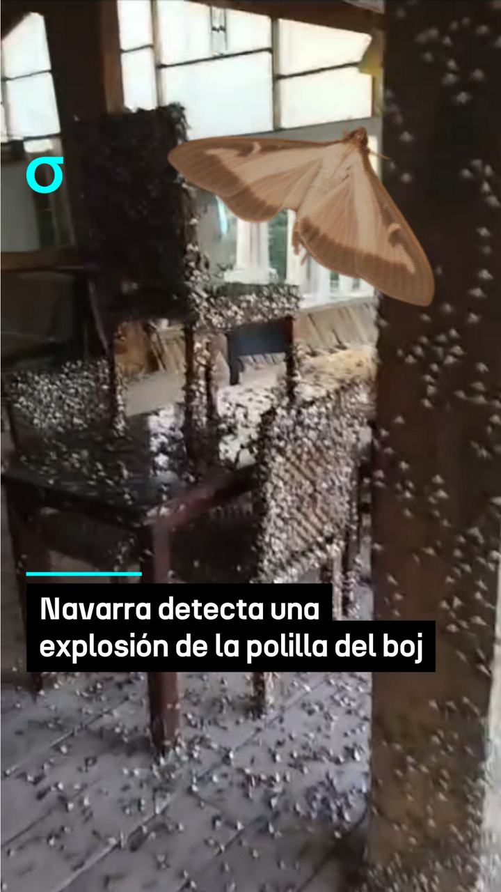 video feed poster
