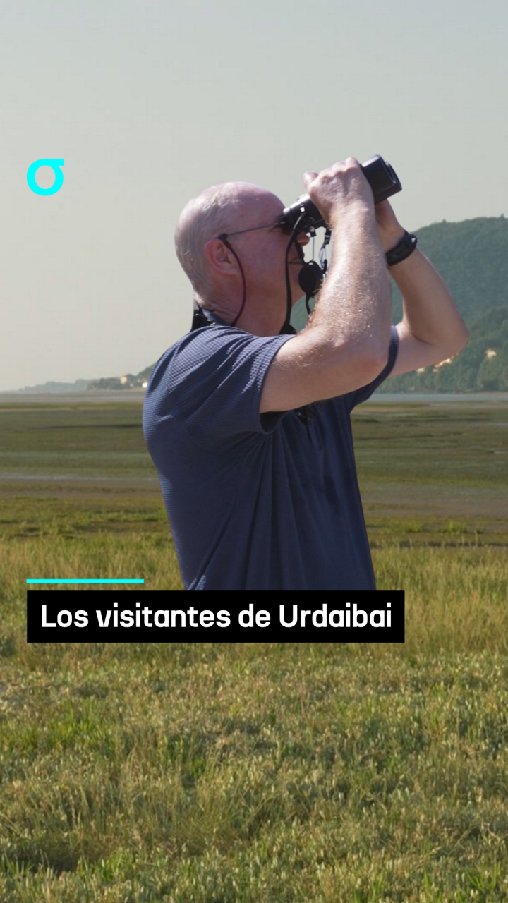 video feed poster